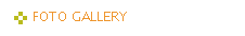 FOTO GALLERY